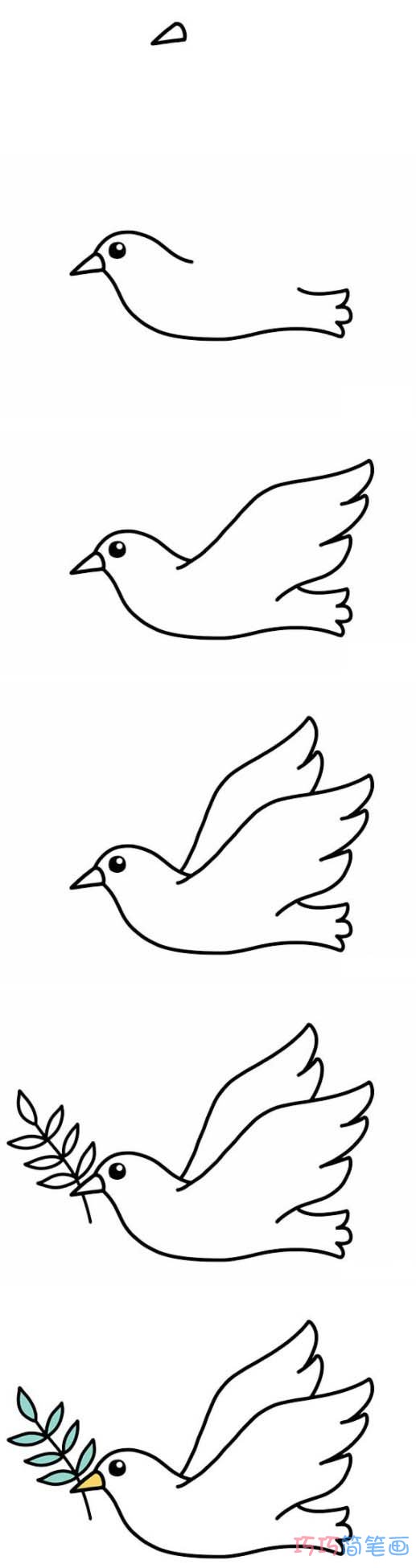 和平鸽的画法步骤图解步骤涂色简单