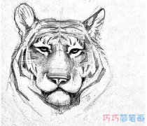 素描老虎怎么画简单又好看老虎简笔画