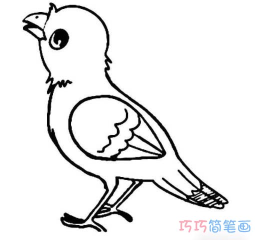 小鸟的画法简笔画图片简单又漂亮