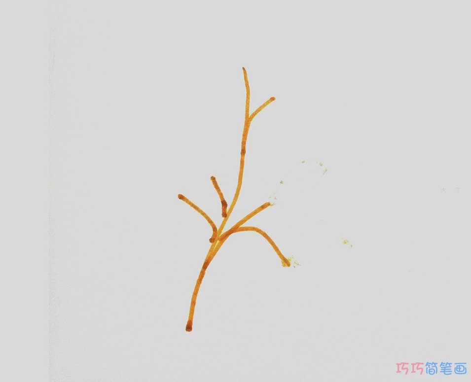 简笔画树叶怎么画简单又好看 一步一步教可爱树叶的画法