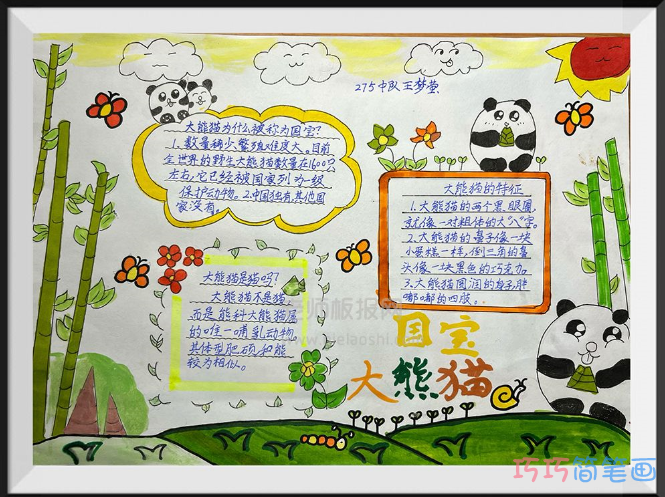 国家一级保护动物《大熊猫》手抄报图片-保护动物手抄报