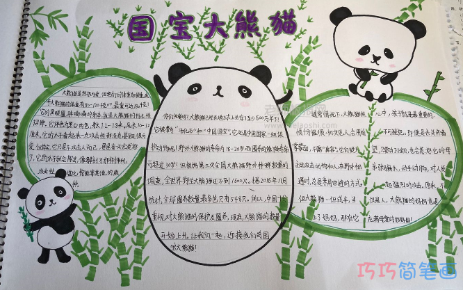 国家一级保护动物《大熊猫》手抄报图片-保护动物手抄报