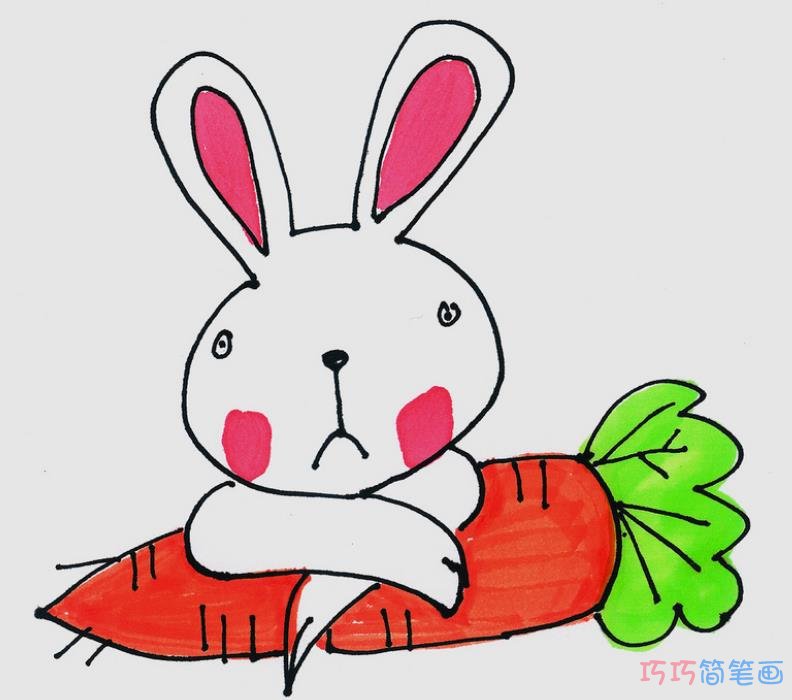 吃萝卜的小白兔简笔画画法图片步骤