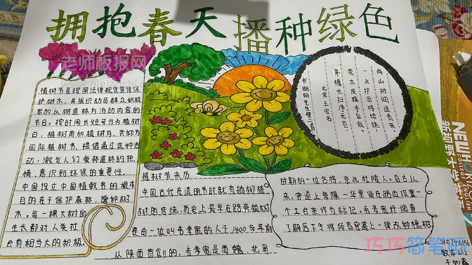 3月12日植树节手抄报绘画图片-内容文字简单漂亮