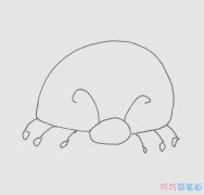 七星瓢虫简笔画画法图片步骤