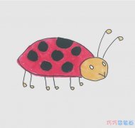 可爱七星瓢虫简单画画法图片步骤