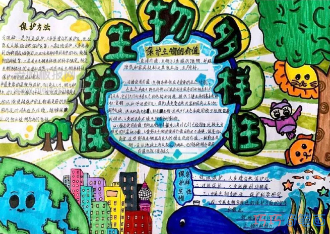 保护生物多样性宣传教育手抄报图片