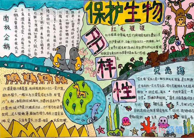 保护生物多样性宣传教育手抄报图片