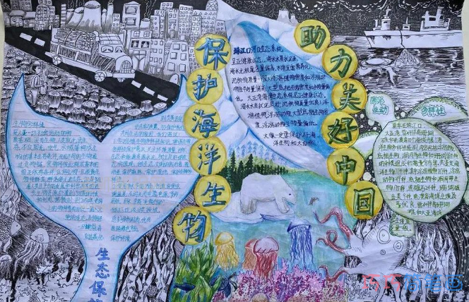保护海洋动物助力美好中国手抄报图片