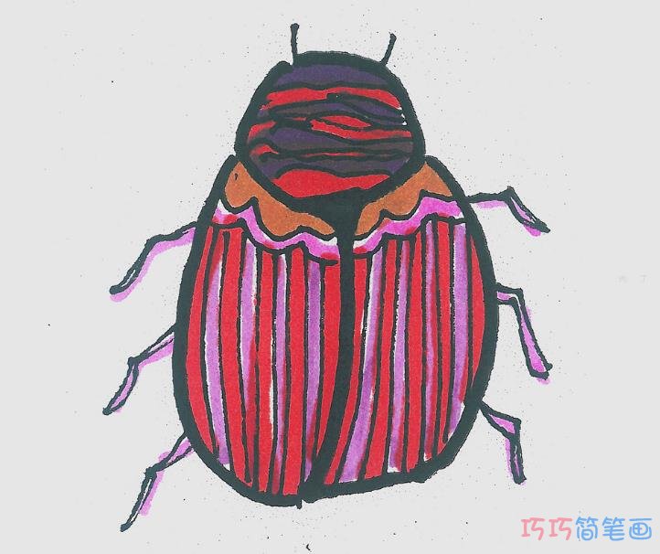 简笔画色彩瓢虫怎么画好看 小瓢虫画法