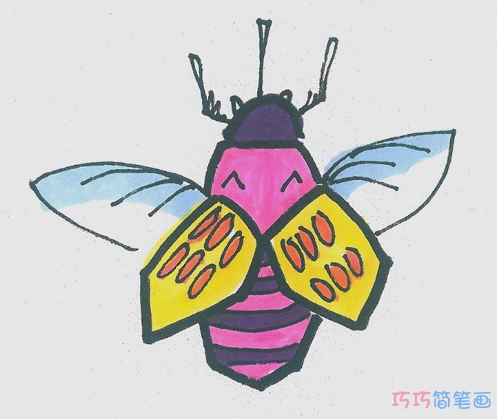 怎么画甲虫简笔画 小甲虫的画法步骤