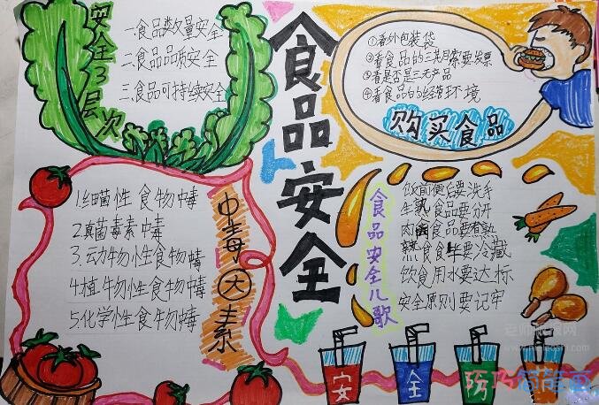 小学生食品安全手抄报图片