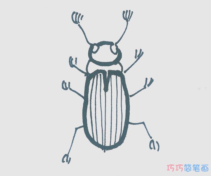 简笔画图片甲虫 一步一步教甲虫画法