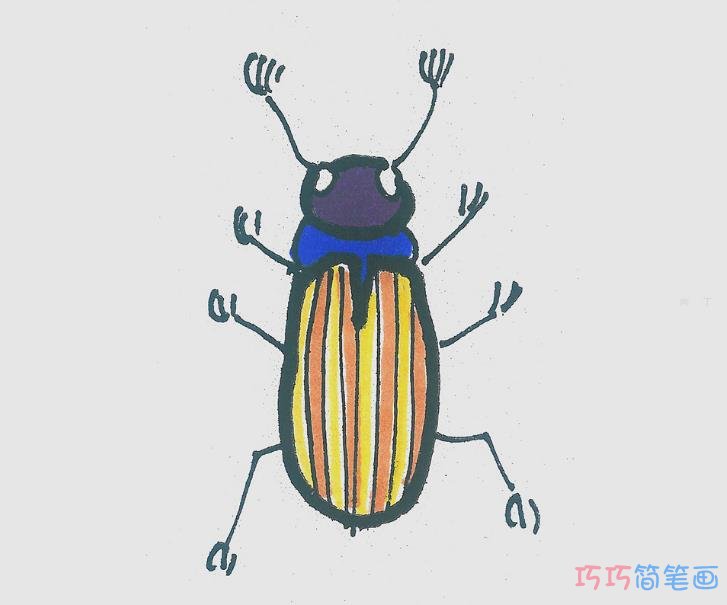 一步一步甲虫画法步骤图解 甲虫简笔画图片
