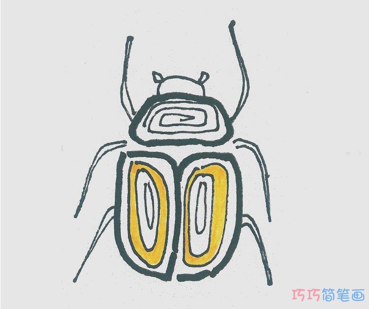 简笔画图片瓢虫怎么画最简单 瓢虫的画法