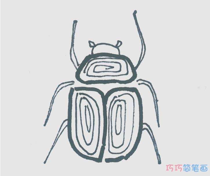简笔画图片瓢虫怎么画最简单 瓢虫的画法