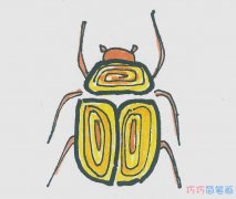 七星瓢虫简笔画怎么画简单 瓢虫的画法涂色