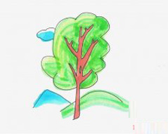 涂颜色大树的画法图解教程简单又漂亮手绘