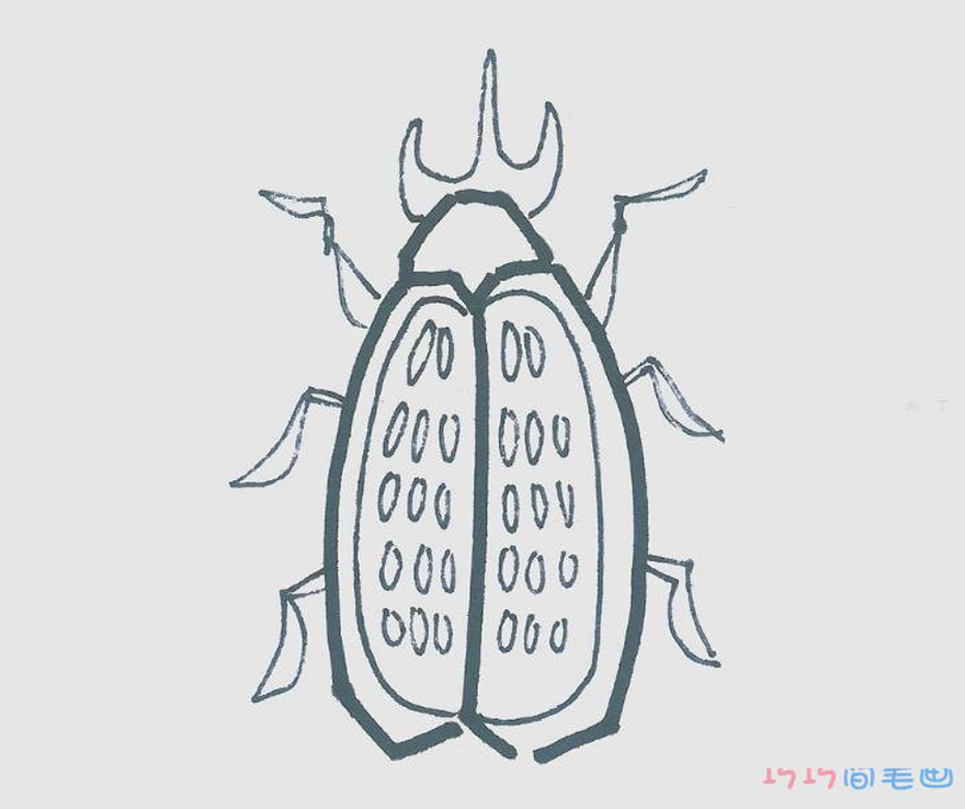 简笔画图片甲壳虫怎么画最简单 一步一步教可爱甲壳虫画法