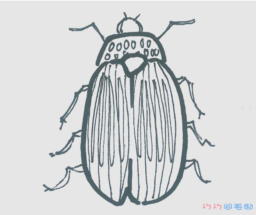 简笔画图片瓢虫怎么画 一步一步教可爱小瓢虫画法