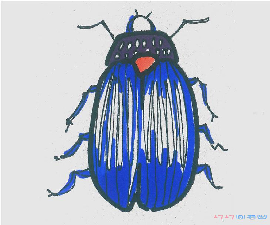 一步一步画七星瓢虫简笔画涂色简单又好看