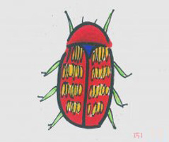 七星瓢虫简笔画涂色 简单小瓢虫的画法简单又好看