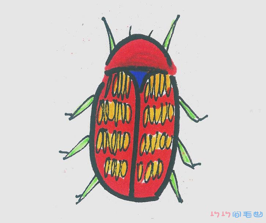 七星瓢虫简笔画涂色 简单小瓢虫的画法简单又好看