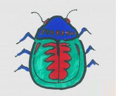 儿童简笔画有颜色瓢虫怎么画 可爱小瓢虫的画法