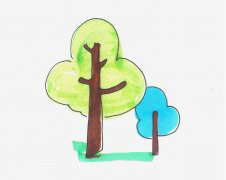 幼儿园简笔画大树怎么画涂颜色简单又漂亮