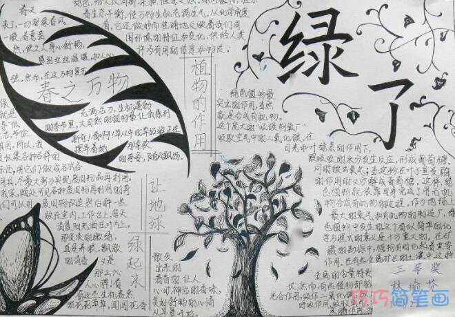 小学生植树节手抄报简笔画怎么画简单又漂亮