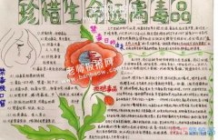 珍惜生命远离禁毒手抄报怎么画简单 毒品的危害