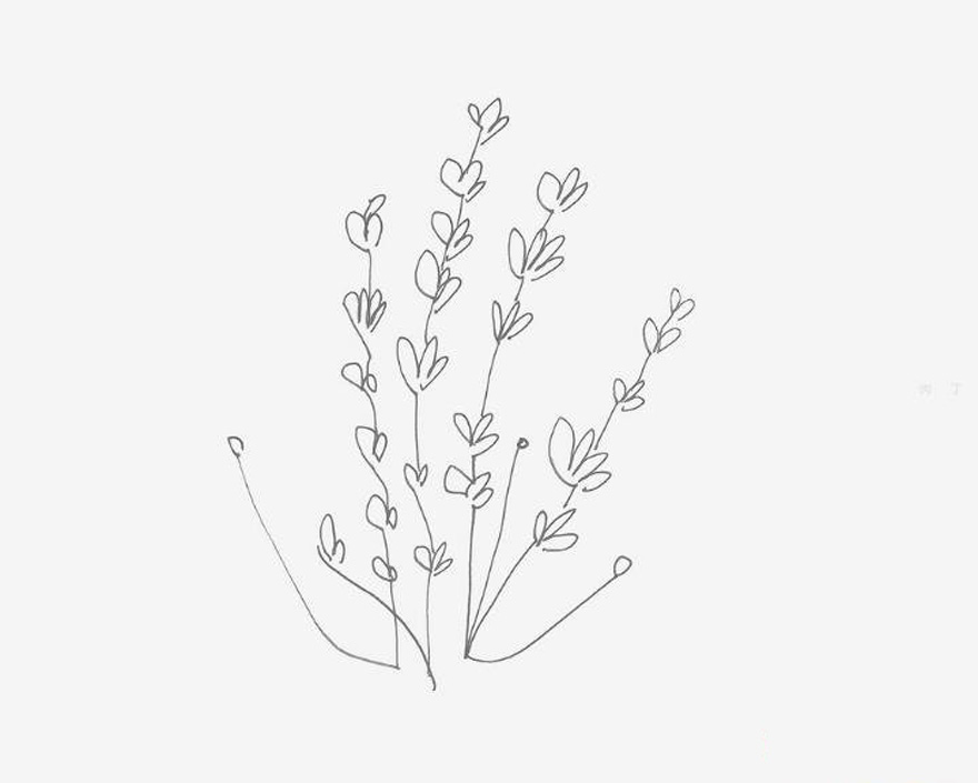 5-6岁简笔画教程 卡通罂粟花的画法图解