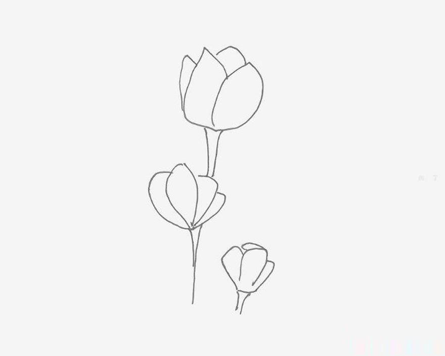 四五岁儿童简笔画教程 罂粟花的画法