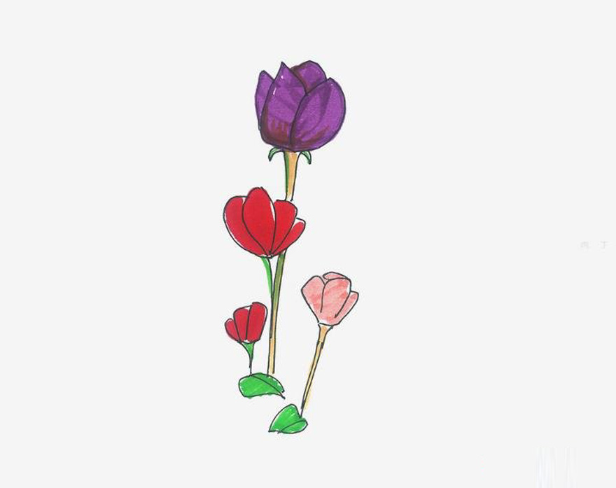 罂粟花的画法步骤教程 罂粟花简笔画涂色