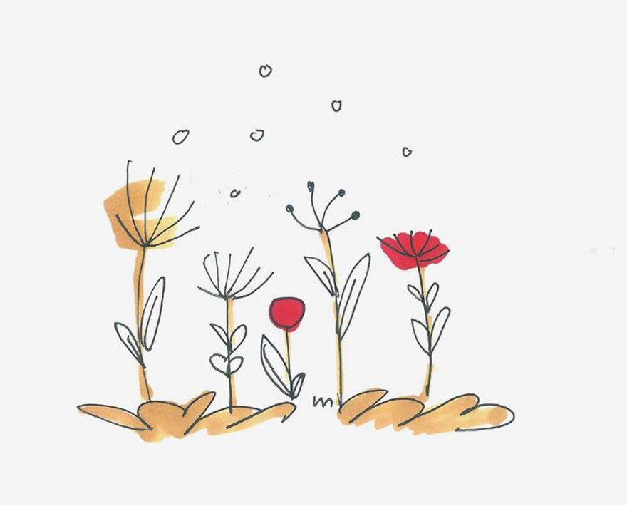 手绘罂粟花的画法简笔画教程涂色简单又漂亮