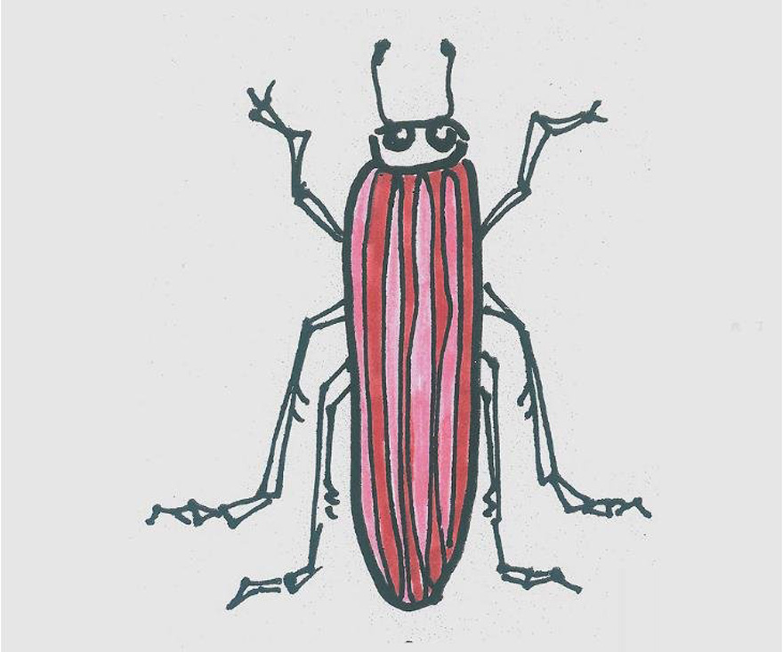儿童简笔画图片甲虫怎么画简单又好看 小甲虫的画法