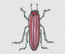 儿童简笔画图片甲虫怎么画简单又好看 小甲虫的画法