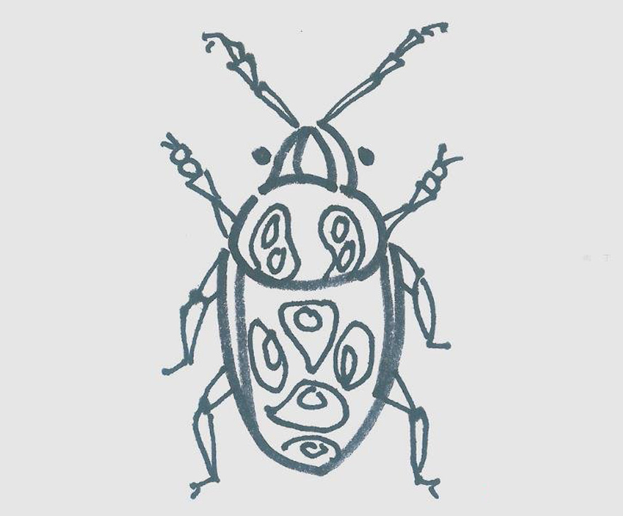 简笔画色彩甲虫的画法图解教程
