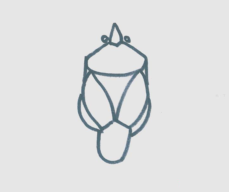 简笔画图片有颜色甲虫 甲虫画法