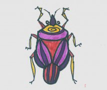 简笔画图片有颜色甲虫 甲虫画法