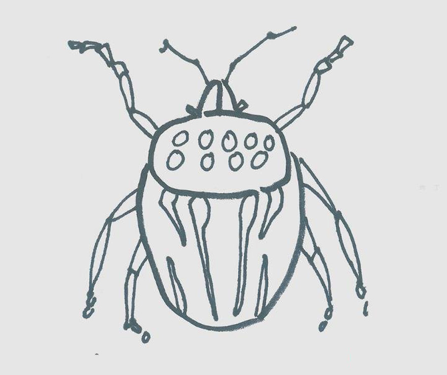 儿童简笔画瓢虫怎么画最简单 小瓢虫画法