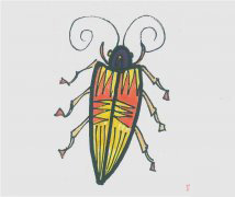 儿童简笔画色彩甲虫怎么画最简单 可爱甲虫的画法