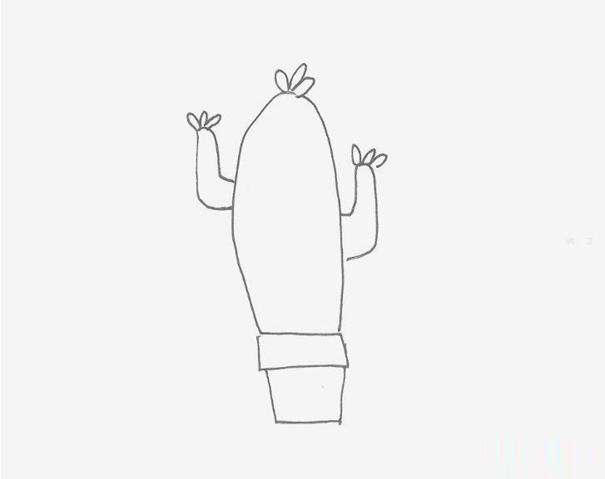 简单简笔画图片 仙人球的画法