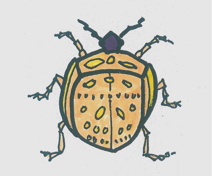 瓢虫的画法步骤填色 瓢虫简笔画图片