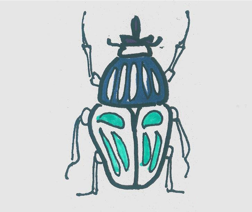 一步一步绘画甲虫简笔画填色简单又可爱