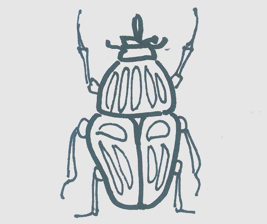 一步一步绘画甲虫简笔画填色简单又可爱