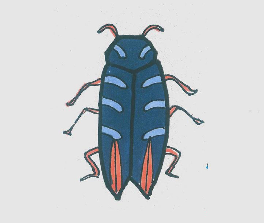 小甲虫怎么画好看涂色 小甲虫简笔画步骤图解