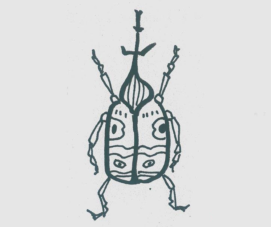 甲虫的画法步骤填色 甲虫简笔画图片