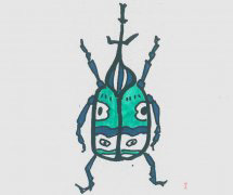 甲虫的画法步骤填色 甲虫简笔画图片