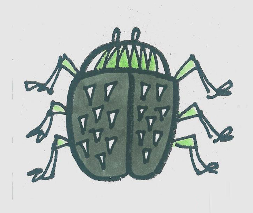 一步一步绘画小甲虫简笔画填色简单又可爱